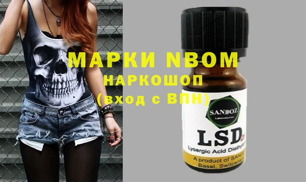 эйфоретик Баксан